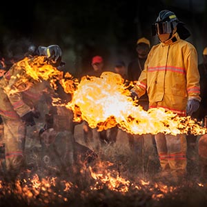 Szkolenie dla osób wyznaczonych przez pracodawcę do zwalczania pożarów, ewakuacji i udzielania pierwszej pomocy
