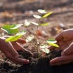 Ochrona środowiska - audyty