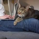 #homeoffice subiektywny poradnik jak nie pracować