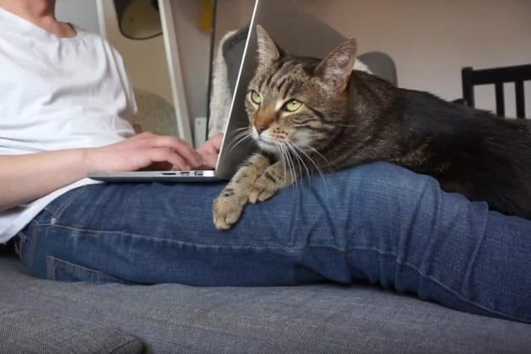 #homeoffice subiektywny poradnik jak nie pracować