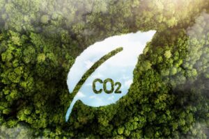 SQDA emisja gazów cieplarnianych w przedsiębiorstwie