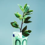 Graniczny podatek węglowy CBAM – wsparcie i konsultacje dla importerów