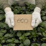 SQDA co to jest i jak uniknąć greenwashingu?