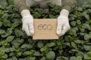 SQDA co to jest i jak uniknąć greenwashingu?